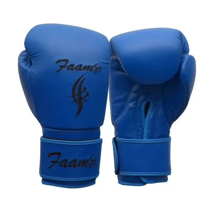 Blue Boxing Gloves