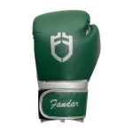 Fandar Green and Silver Boxing Gloves – Front View with Sleek Design