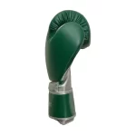 Side View of Fandar Green and Silver Boxing Gloves Showing Professional Construction