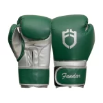 Fandar Green and Silver Boxing Gloves – Front View with Sleek Design