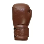 Fandar Brown Leather Professional Fight Gloves – Front View