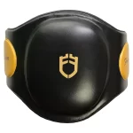 Fandar Black Gold Belly Pads with a sleek black and gold design on a plain white background