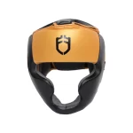 Fandar Black Gold Boxing Head Guards with premium black and gold design on a white background
